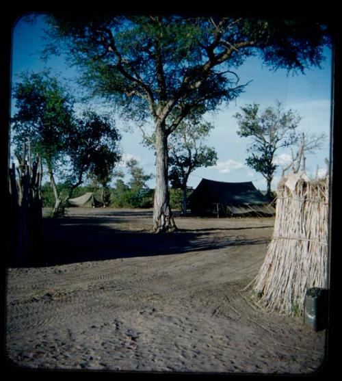 Expedition: Trees, tents, and stockade at the expedition camp