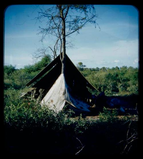 Expedition: Tent at the expedition camp