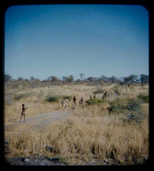 Expedition: Group of people walking down a truck path, seen from behind