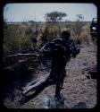 Expedition: Woman carrying wood, seen from behind