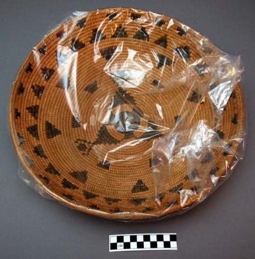 Medium-sized tray basket. Coil technique. Made of bear grass and devil's claw.