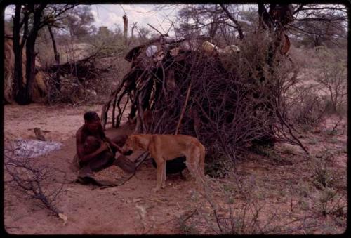 Woman sitting in front of a skerm with a pile of food on the ground in front of her, dog next to her