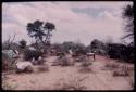 Blankets spread out on brush to dry in the expedition camp, with expedition members standing in the distance