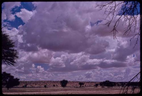 Clouds over landscape with sparse trees