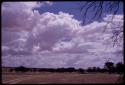 Clouds over landscape with trees