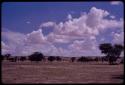 Clouds over landscape with trees