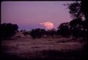 Landscape with trees at sunset, cloud in the sky