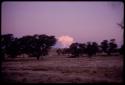 Landscape with trees at sunset, cloud in the sky