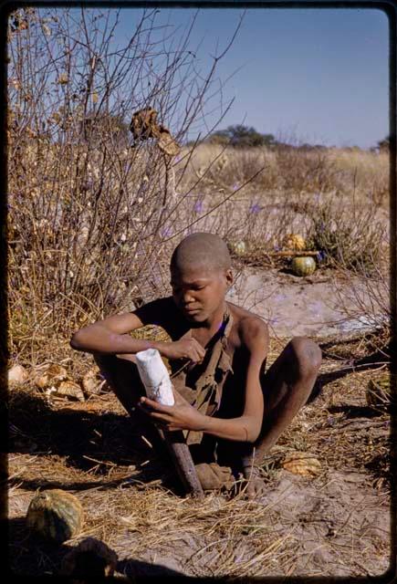 Boy placing scrotum of a gemsbok on quiver root