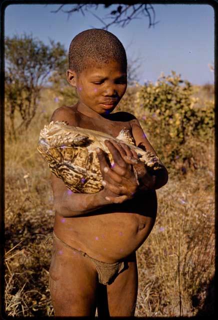 Boy holding a turtle