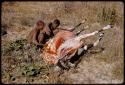 Gai and Oukwane skinning a gemsbok