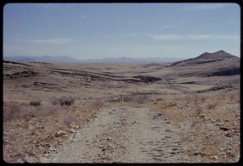 Landscape, showing truck tracks and escarpment