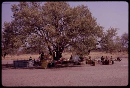 View of the camp at Tsumkwe, people sitting under a tree