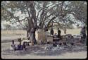 Cooking area of expedition camp, people under a tree