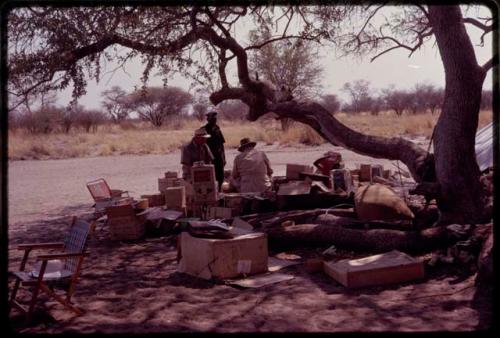 Cooking area of expedition camp, people under a tree