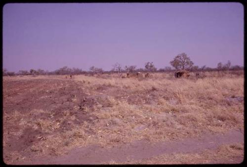 ǂToma's land, showing part of plowed area and huts in distance