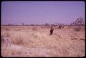 Girl walking through ǂToma's land, showing part of plowed area and huts in distance