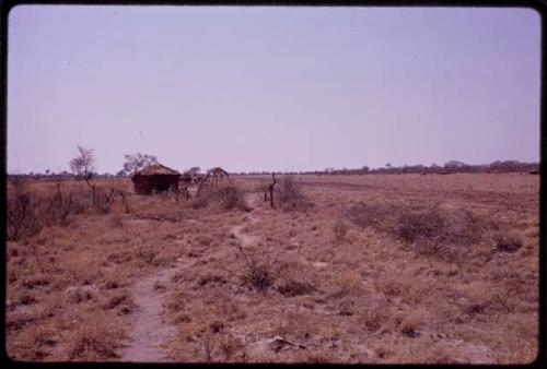 View of Claude McIntyre's camp from ǂToma's land