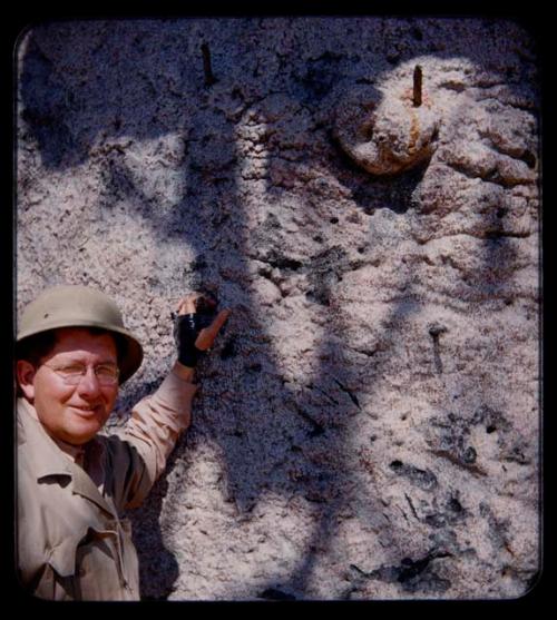 John Otis (“Jo”) Brew standing next to a baobab tree, with his hand on a peg in the trunk of the tree