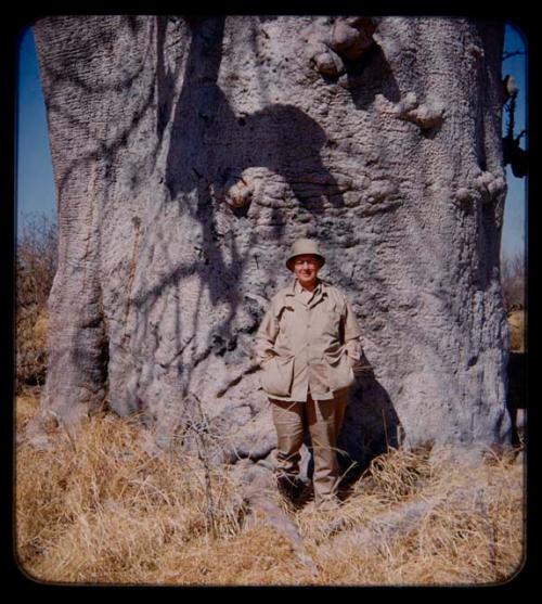 Expedition: J. O. Brew standing by a baobab tree