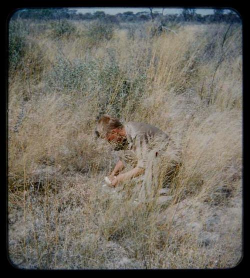 Expedition: John Marshall kneeling in tall grass with broken ostrich eggshells