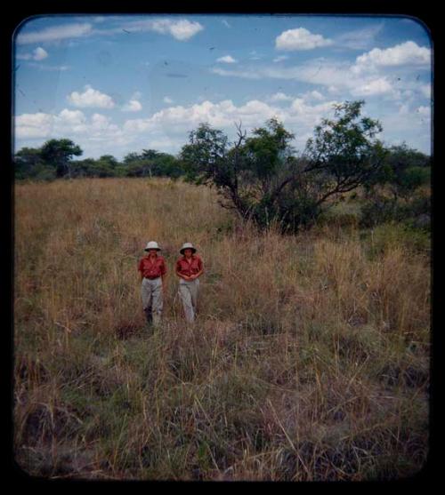 Expedition: Elizabeth Marshall Thomas and Lorna Marshall walking through grass on their trip to "Kubi"