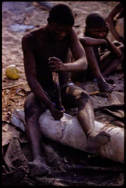 Gai scraping a hide