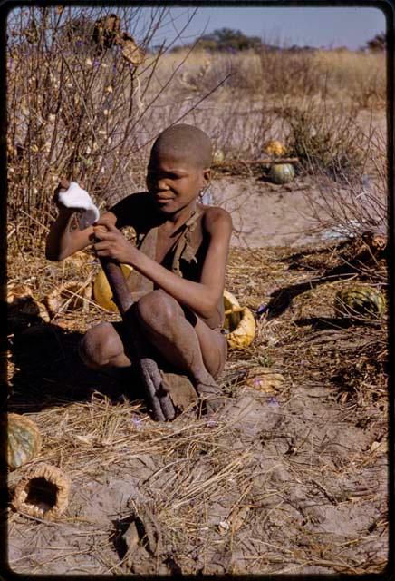 Boy placing scrotum of a gemsbok on quiver root