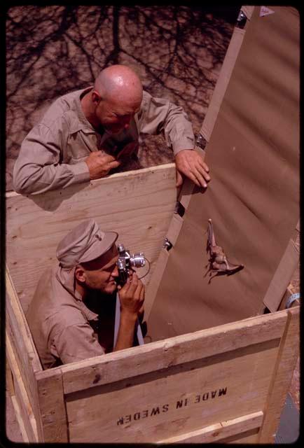 Wulf Haacke photographing a bat inside a wood crate, out of the wind, with O. P. M. Prozesky assisting him