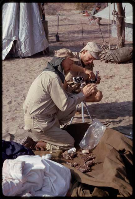 O.P.M. Prozesky and Wulf Haacke squatting and examining bats