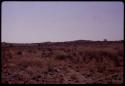 Veld with Kwehaba hills in the background