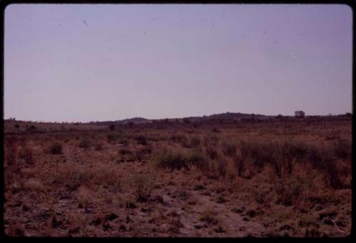 Veld with Kwehaba hills in the background