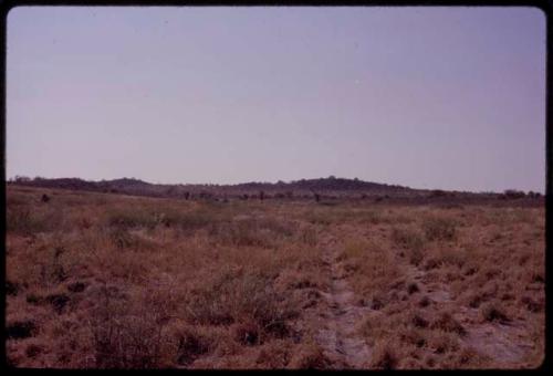 Veld with Kwehaba hills in the background