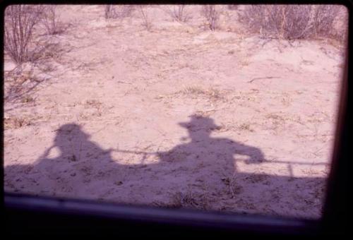 Shadow of O.P.M. Prozesky and Wulf Haacke from the top of a truck at "Kabaganyani"