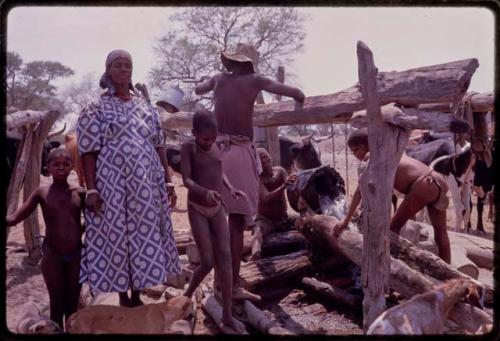 Kerwaletse (Segosebe's first wife) standing and holding his son's hands at a watering trough, supervising people watering her cattle