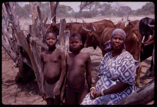 Kerwaletse (Segosebe's first wife) sitting and two of her children standing, with her cattle in the background