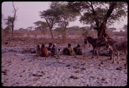 Group of people sitting on the ground and preparing food near Utukili's place, with donkeys standing nearby