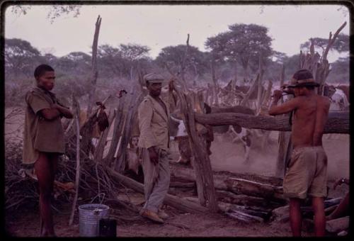 Man standing next to a fence to water cattle at Urobitsi's well