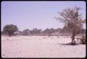 Distant view of cattle entering water at Urobitsi's place, with over-grazed sands in the foreground