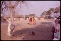 Two women wearing "modern" Herero dresses and walking, with huts in the background