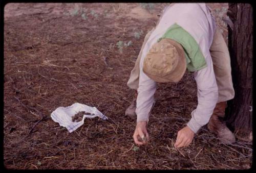 O.P.M. Prozesky bending to gather owl pellets