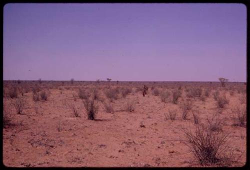 Dry flat land on the way to Matomahubiru