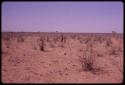 People walking on dry flat land near Matomahubiru