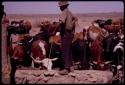 "Old D/ao" standing near a herd of cattle at a trough