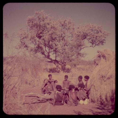 Marriage: /Gunda and N!ai sitting in front of their skerm with Xama (daughter of "Gao Helmet"), ≠Gisa (daughter of ≠Gao and Khwo//o-/Gasa), Tsamgao (≠Toma's son) and two boys with //guashis, with a tree next to a dance circle in the background