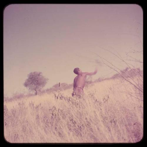 Spear: Man throwing an assegai, view from behind