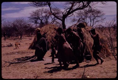 Women performing the Eland Dance, with some standing in front of a skerm, singing and clapping, and others dancing around the skerm