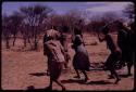 People performing the Eland Dance, with Twi imitating the sideways motion of an eland's hind legs and playing up to ǂKxoba