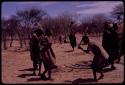 Dancers performing the Eland Dance, with Twi playing up to !Ani