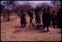 Men performing the Eland Dance, holding horns to their heads and coming around from behind the skerm